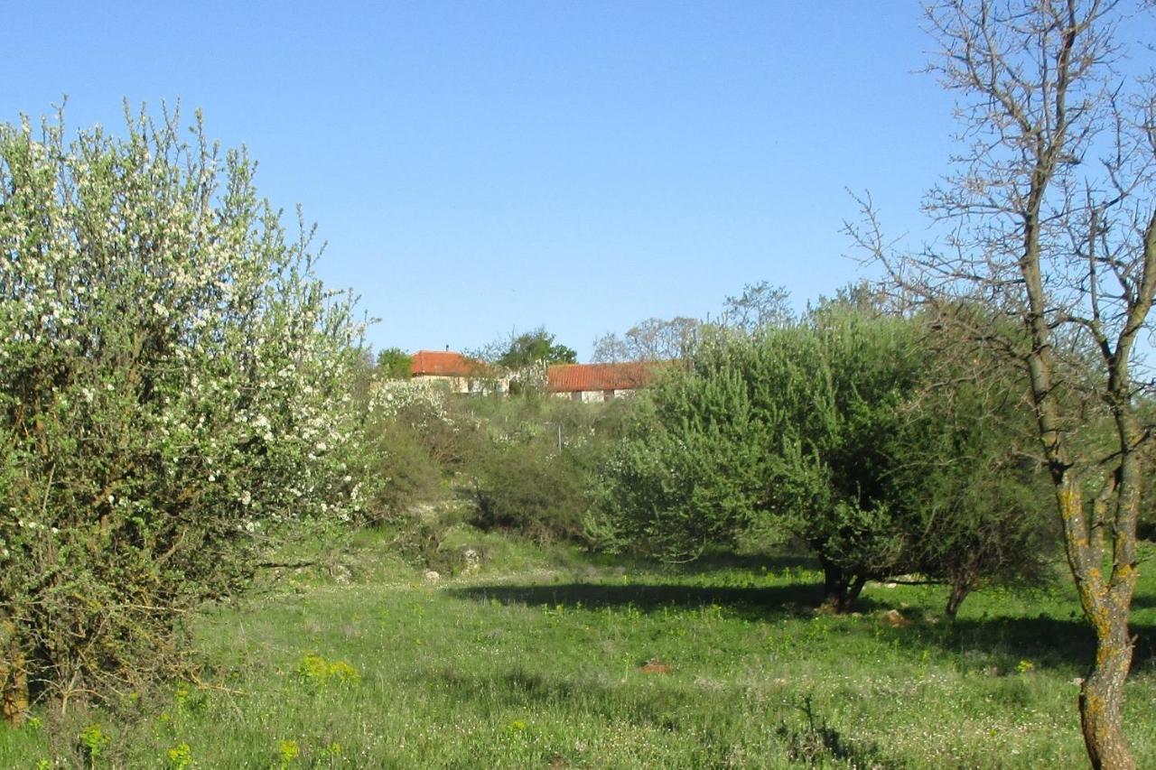 Stone House In A Quiet Landscape, Leonidion Villa Kültér fotó